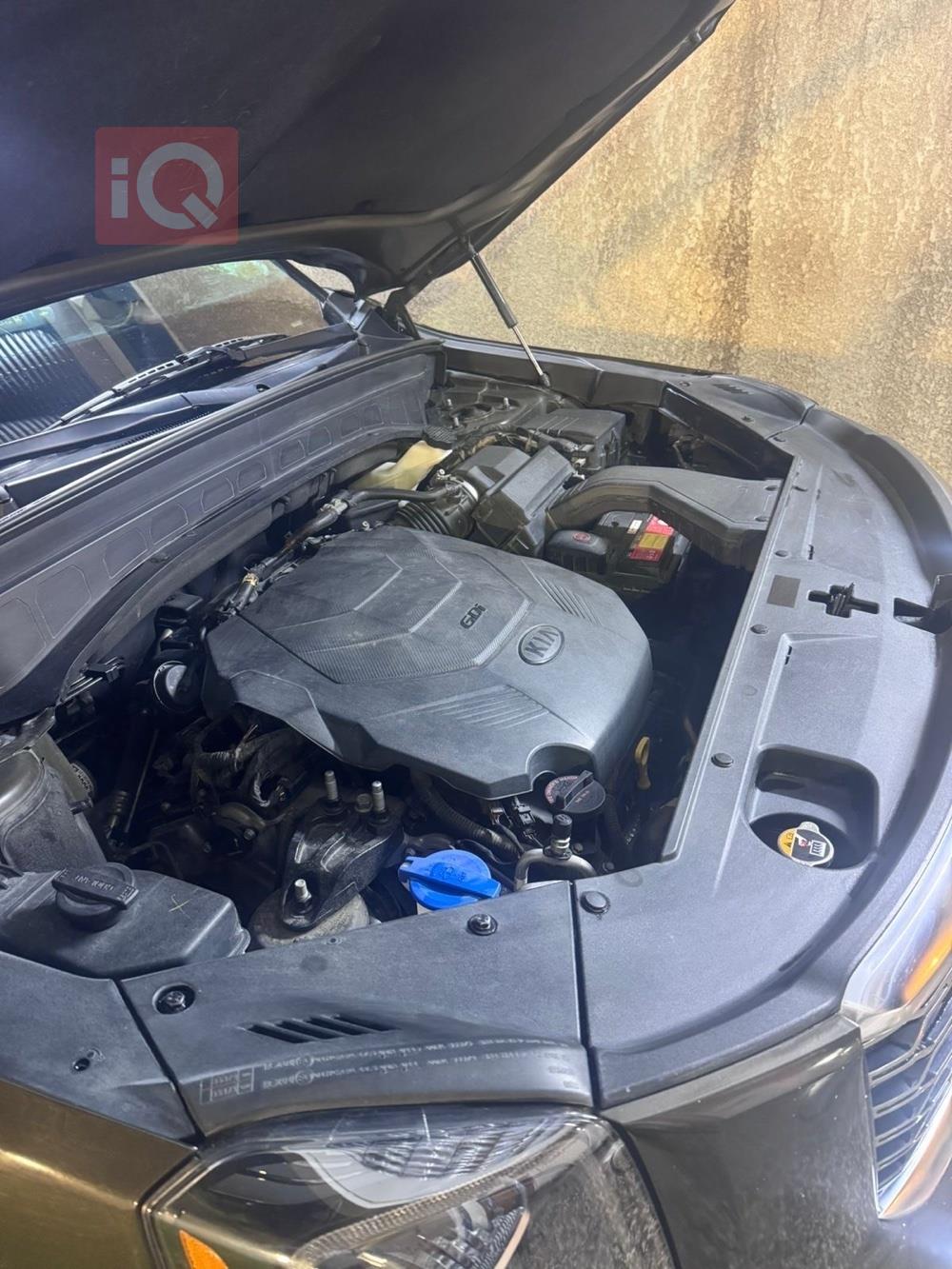 کیا تێلوراید